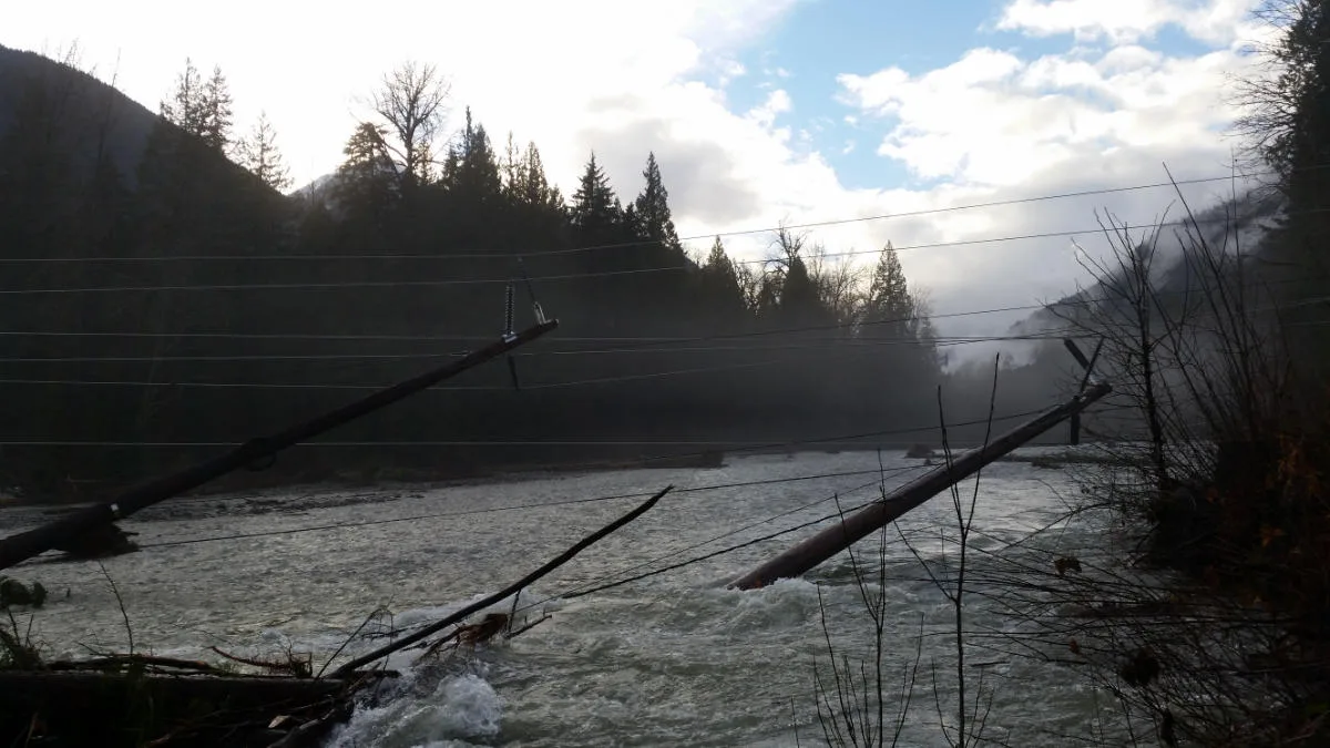 Downed Power Lines by Nature – Metro Power