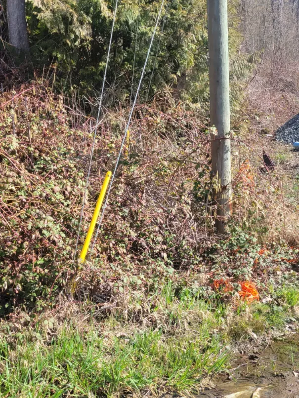 Metro Power Line Inspection in Abbotsford BC