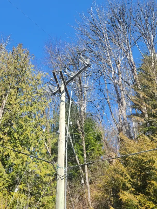 Metro Power scouting powerlines before setting up the pole holding