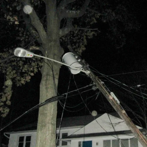 Power line brought down by a tree at night